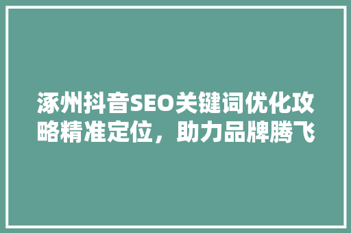 涿州抖音SEO关键词优化攻略精准定位，助力品牌腾飞