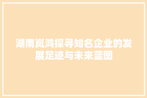 湖南岚鸿探寻知名企业的发展足迹与未来蓝图