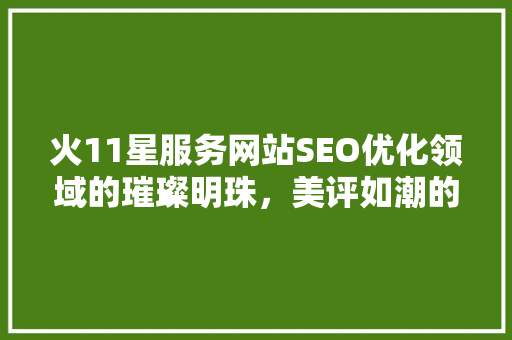 火11星服务网站SEO优化领域的璀璨明珠，美评如潮的奥秘所在