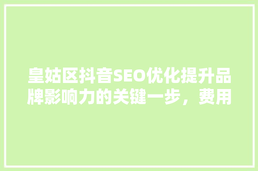 皇姑区抖音SEO优化提升品牌影响力的关键一步，费用与优化步骤