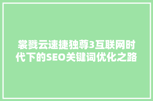 裳戮云速捷独尊3互联网时代下的SEO关键词优化之路