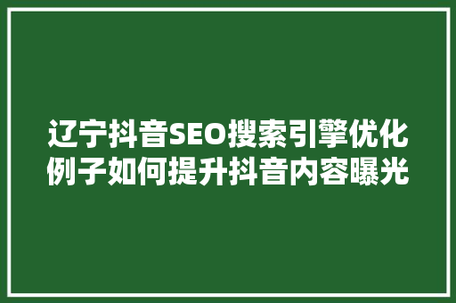 辽宁抖音SEO搜索引擎优化例子如何提升抖音内容曝光率
