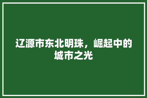 辽源市东北明珠，崛起中的城市之光