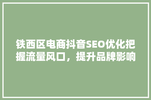 铁西区电商抖音SEO优化把握流量风口，提升品牌影响力