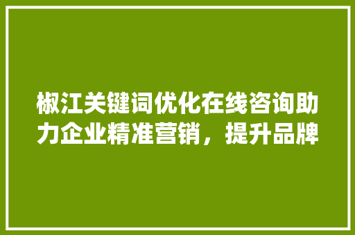 椒江关键词优化在线咨询助力企业精准营销，提升品牌影响力_椒江关键词优化在线咨询