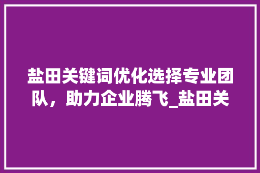 盐田关键词优化选择专业团队，助力企业腾飞_盐田关键词优化哪家好