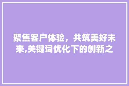 聚焦客户体验，共筑美好未来,关键词优化下的创新之路_客户优化体验的关键词