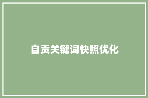 自贡关键词快照优化