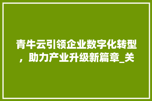 青牛云引领企业数字化转型，助力产业升级新篇章_关键词优化青牛云