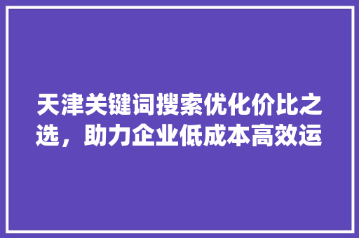 天津关键词搜索优化价比之选，助力企业低成本高效运营_天津关键词搜索优化哪个便宜