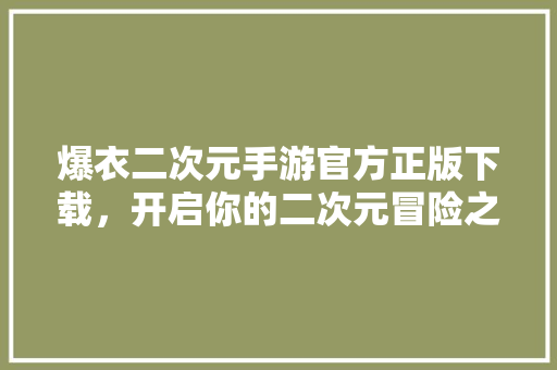 爆衣二次元手游官方正版下载，开启你的二次元冒险之旅