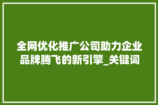 全网优化推广公司助力企业品牌腾飞的新引擎_关键词全网优化推广公司