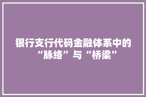 银行支行代码金融体系中的“脉络”与“桥梁”
