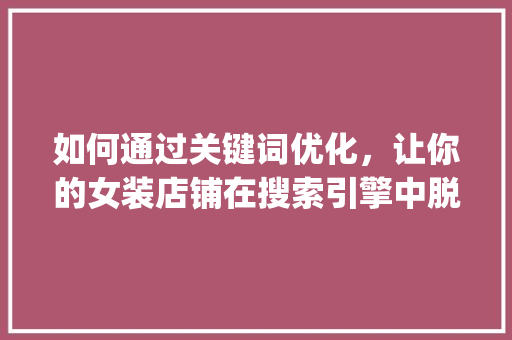 如何通过关键词优化，让你的女装店铺在搜索引擎中脱颖而出_搜女装店铺关键词优化