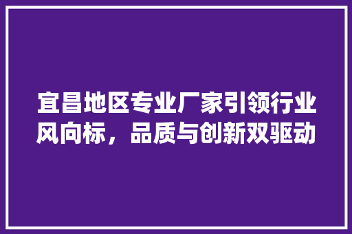 宜昌地区专业厂家引领行业风向标，品质与创新双驱动_宜昌关键词优化厂家