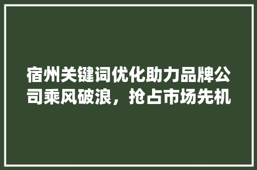 宿州关键词优化助力品牌公司乘风破浪，抢占市场先机_宿州关键词优化品牌公司