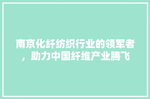 南京化纤纺织行业的领军者，助力中国纤维产业腾飞