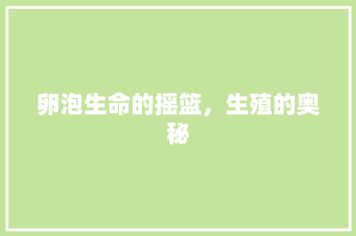 卵泡生命的摇篮，生殖的奥秘