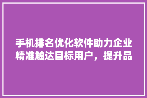 手机排名优化软件助力企业精准触达目标用户，提升品牌竞争力_关键词手机排名优化软件