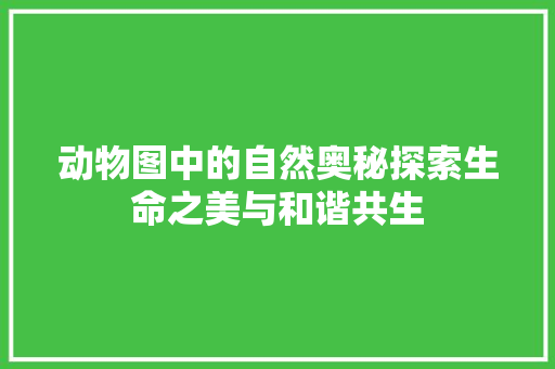 动物图中的自然奥秘探索生命之美与和谐共生