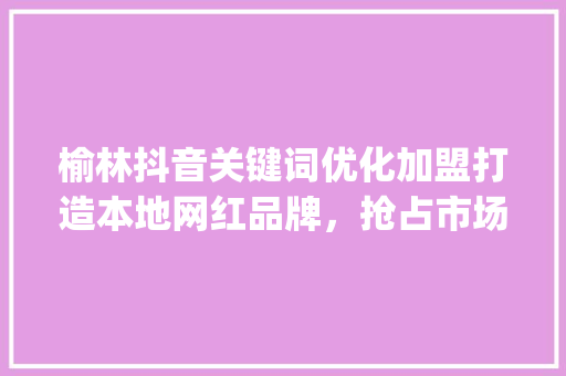 榆林抖音关键词优化加盟打造本地网红品牌，抢占市场先机_榆林抖音关键词优化加盟