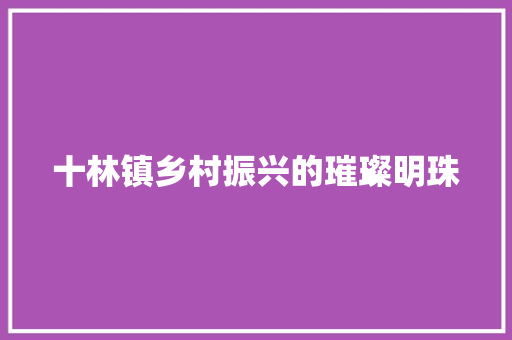 十林镇乡村振兴的璀璨明珠