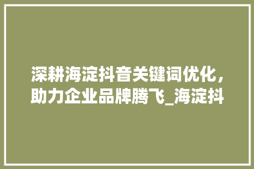 深耕海淀抖音关键词优化，助力企业品牌腾飞_海淀抖音关键词优化公司