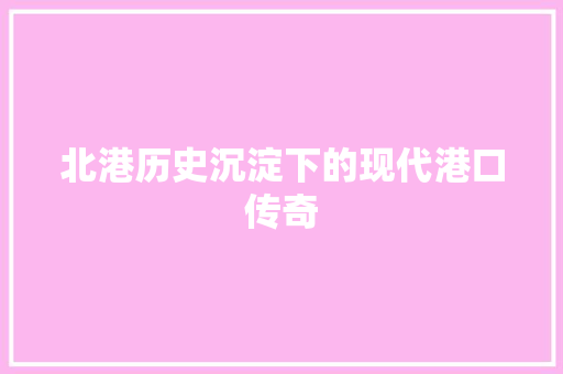 北港历史沉淀下的现代港口传奇