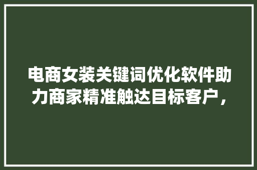 电商女装关键词优化软件助力商家精准触达目标客户，提升转化率_电商女装关键词优化软件