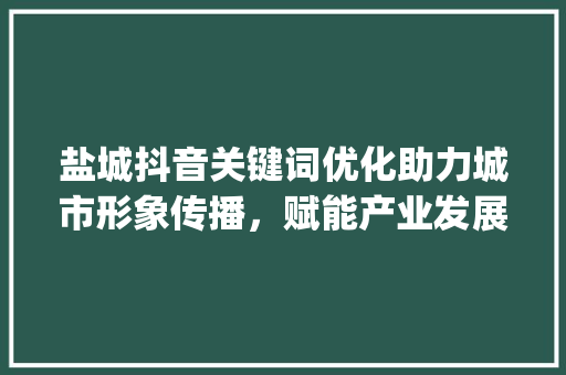 盐城抖音关键词优化助力城市形象传播，赋能产业发展新引擎_盐城抖音关键词优化报名