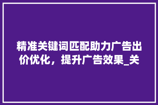 精准关键词匹配助力广告出价优化，提升广告效果_关键词匹配方式出价优化