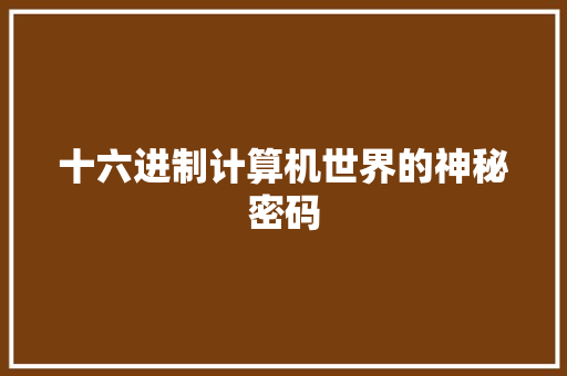 十六进制计算机世界的神秘密码