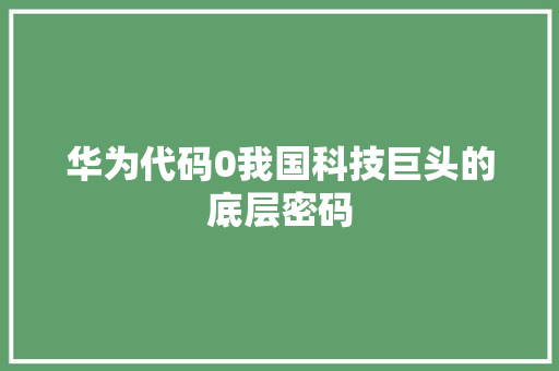 华为代码0我国科技巨头的底层密码