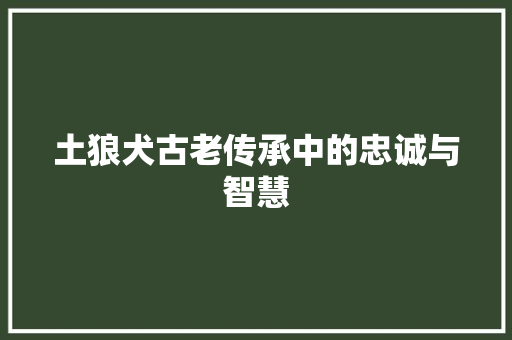 土狼犬古老传承中的忠诚与智慧  第1张