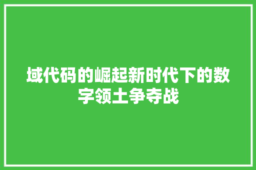 域代码的崛起新时代下的数字领土争夺战