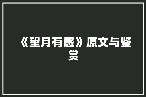 啤酒听探寻酒文化的魅力与传承