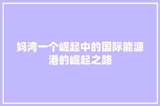 妈湾一个崛起中的国际能源港的崛起之路