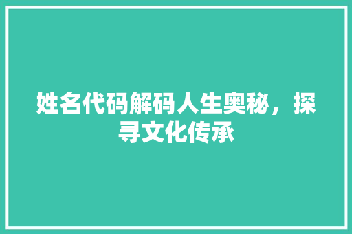 姓名代码解码人生奥秘，探寻文化传承