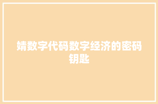 婧数字代码数字经济的密码钥匙