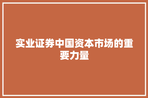 实业证券中国资本市场的重要力量