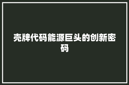 壳牌代码能源巨头的创新密码  第1张