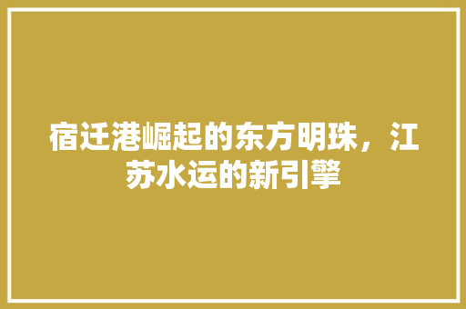 宿迁港崛起的东方明珠，江苏水运的新引擎