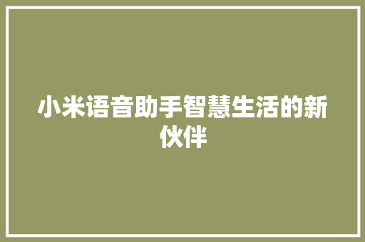 小米语音助手智慧生活的新伙伴