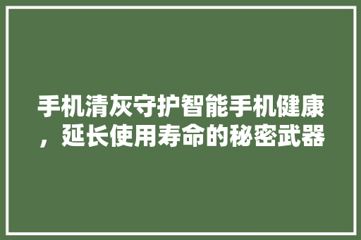 手机清灰守护智能手机健康，延长使用寿命的秘密武器