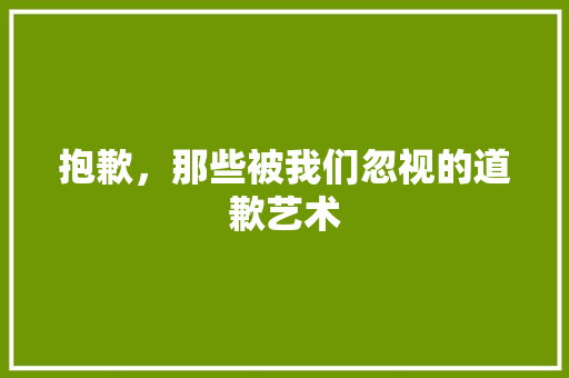 抱歉，那些被我们忽视的道歉艺术