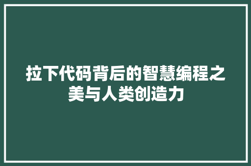 拉下代码背后的智慧编程之美与人类创造力
