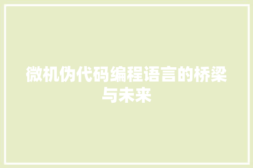 微机伪代码编程语言的桥梁与未来