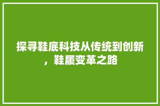 探寻鞋底科技从传统到创新，鞋履变革之路