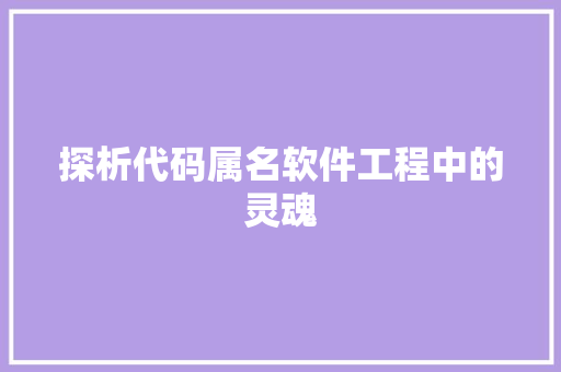 探析代码属名软件工程中的灵魂