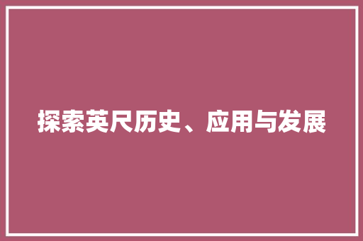 探索英尺历史、应用与发展